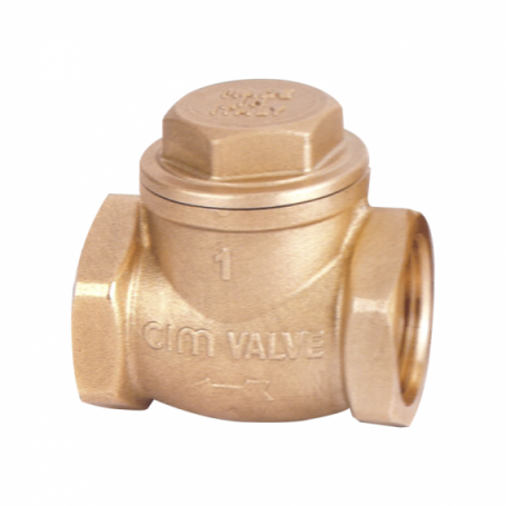 Valv.check Swin 3/4" Asto/neo (cim 80a)