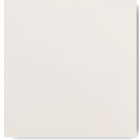 PORCELANATO ESMALTADO 60X60 RUSTICO MATE CEMENTO BLANCO (MA6763)