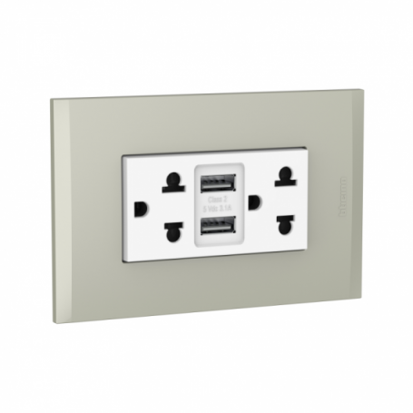 TOMA DUPLEX EU/US 2P+T / 2 USB AH2375USBEBTI MODUS 4 BLANCO/TERRA