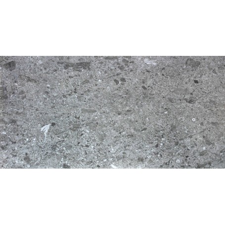 PORCELANATO VITRIFICADO RMS-50020 120X60