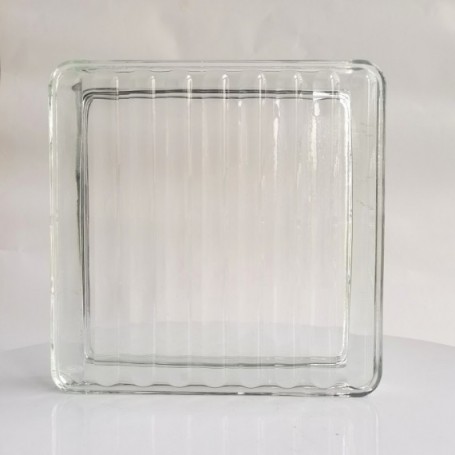 BLOCK VIDRIO PARA PISO PAVER 19X19X32